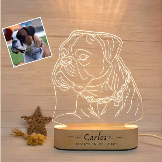 Personalized Magical Pet Night Light